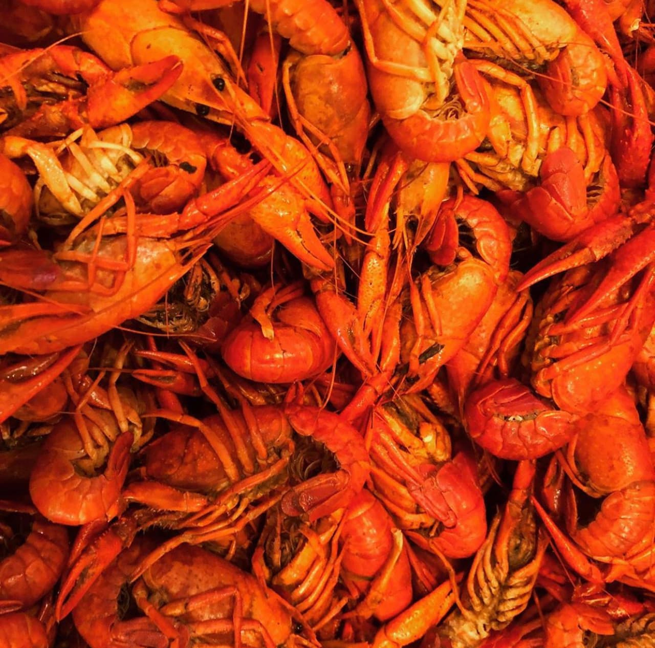 Pleasure By The Pound