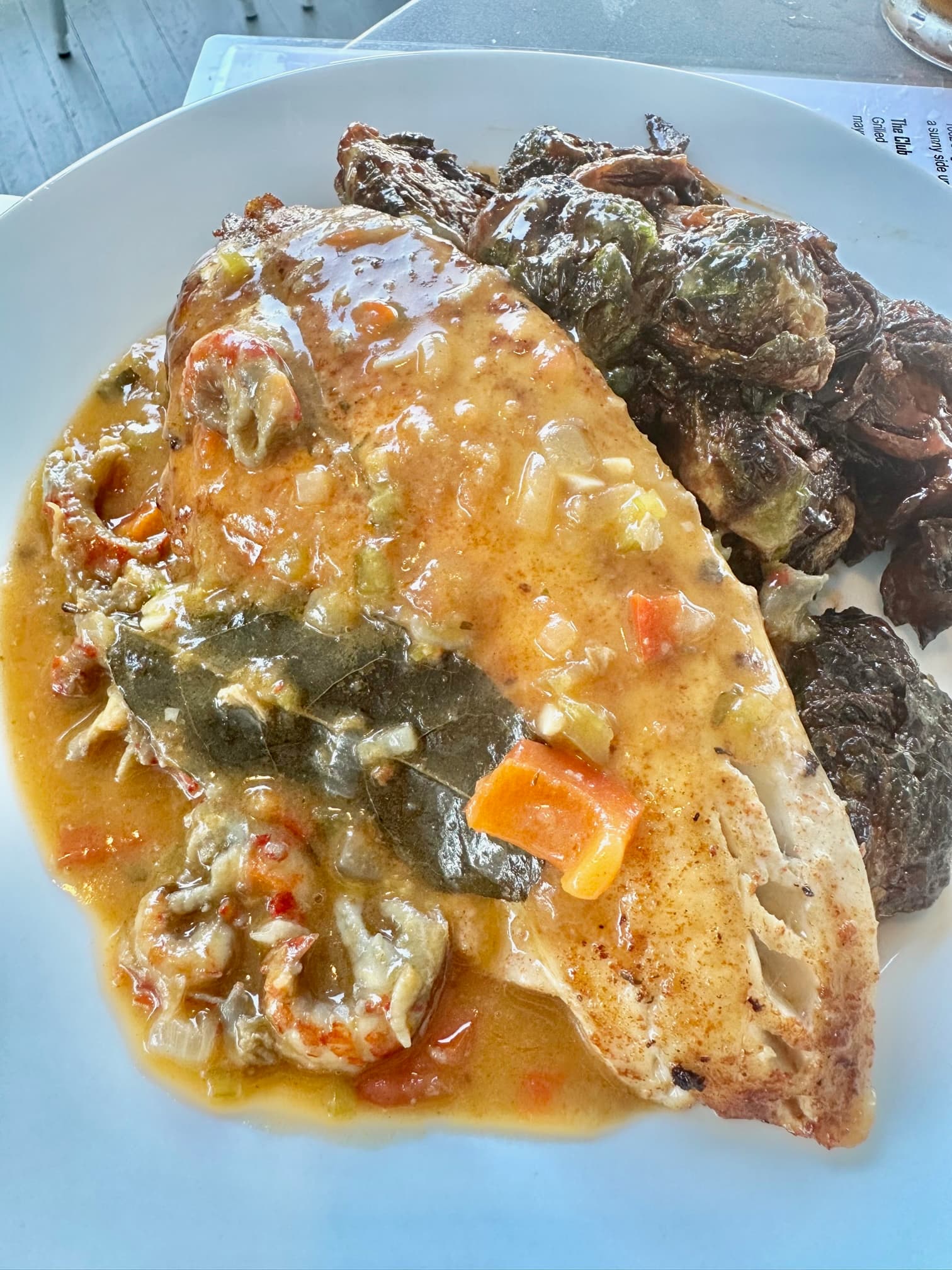 Ugly Dog Heads North