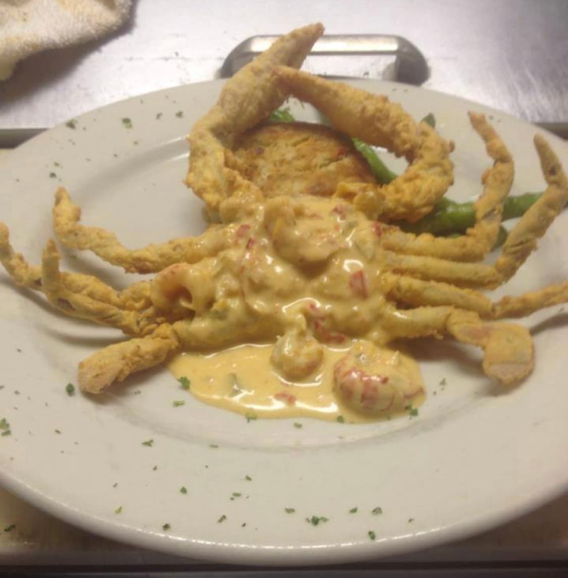 Cypress Leaves A Void