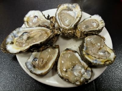 Oysters, Oysters, Oysters