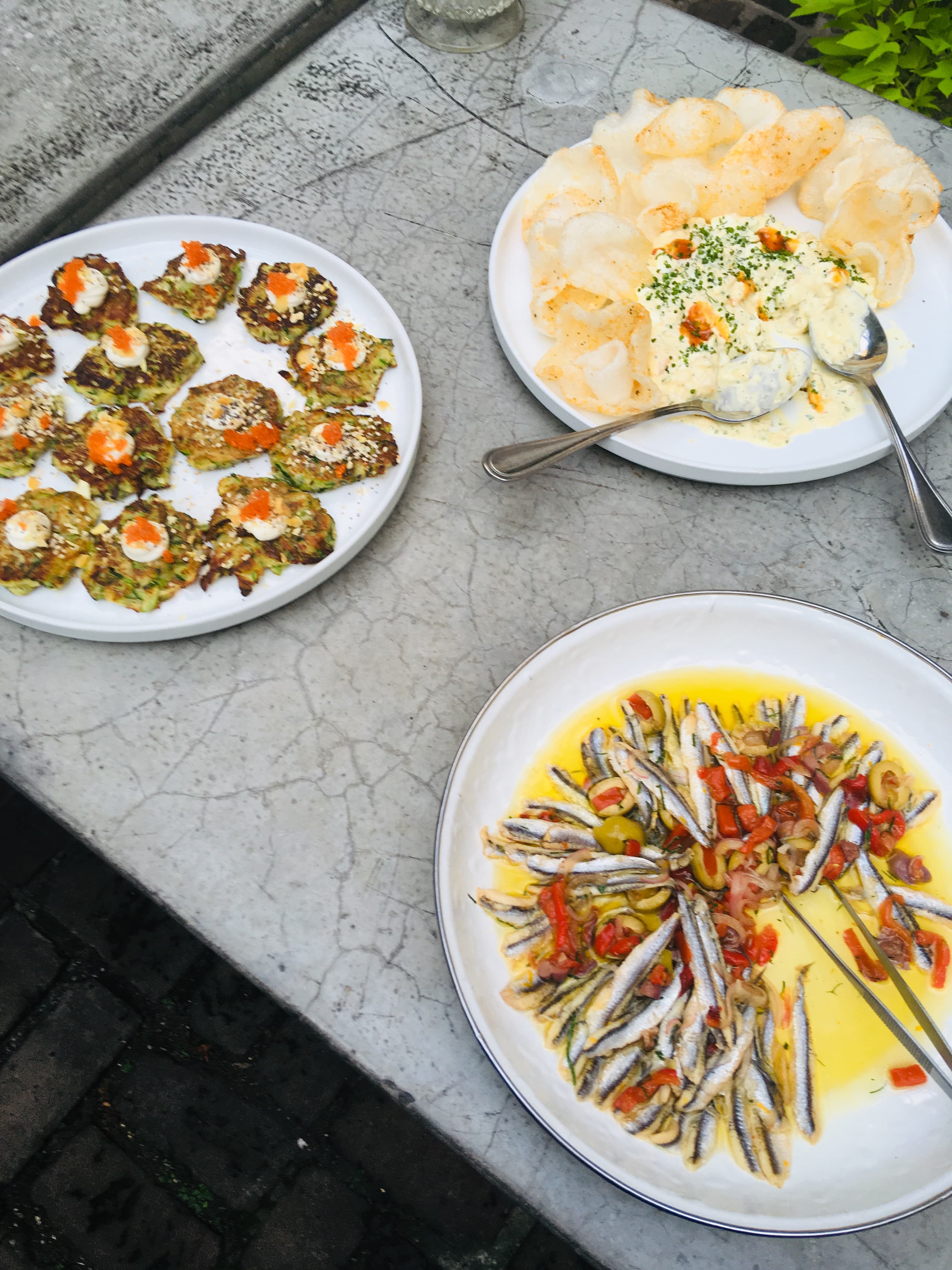 Blazing The Radish Trail