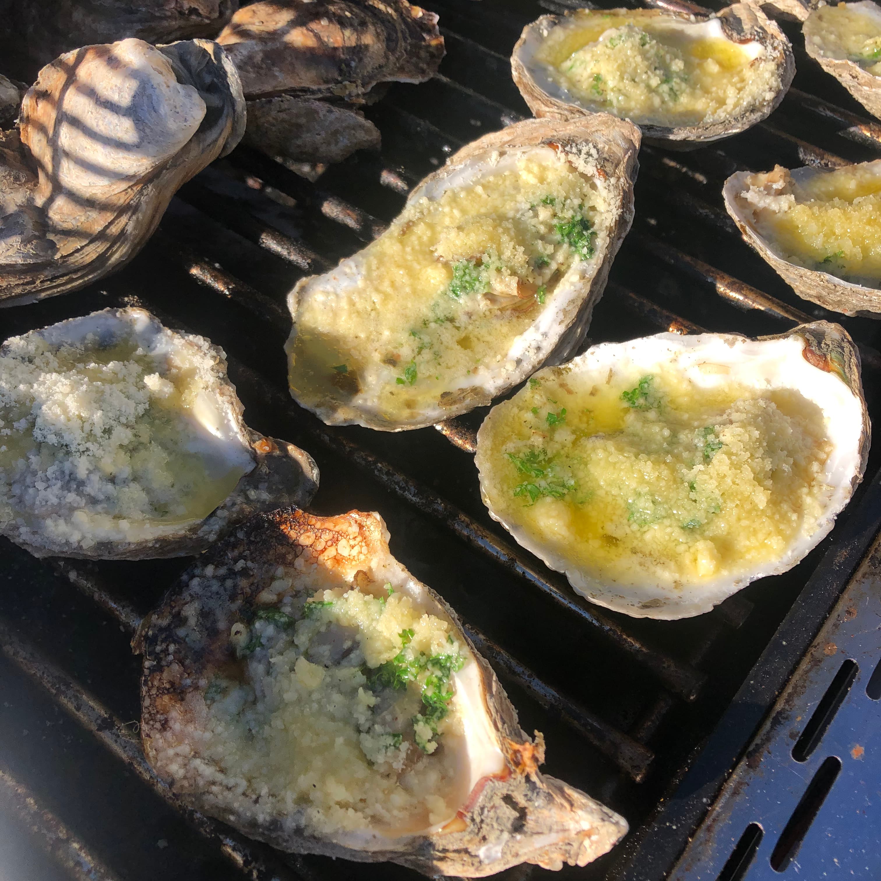 Christmas Trees And Oysters