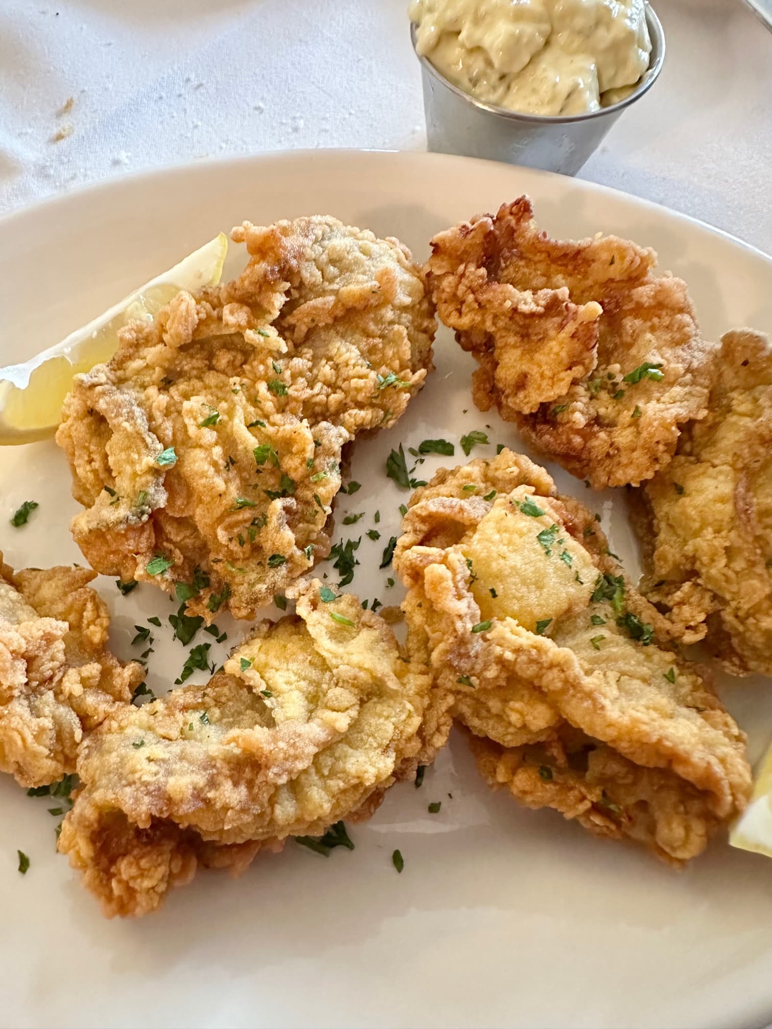 The Rescue Of Pascal's Manale