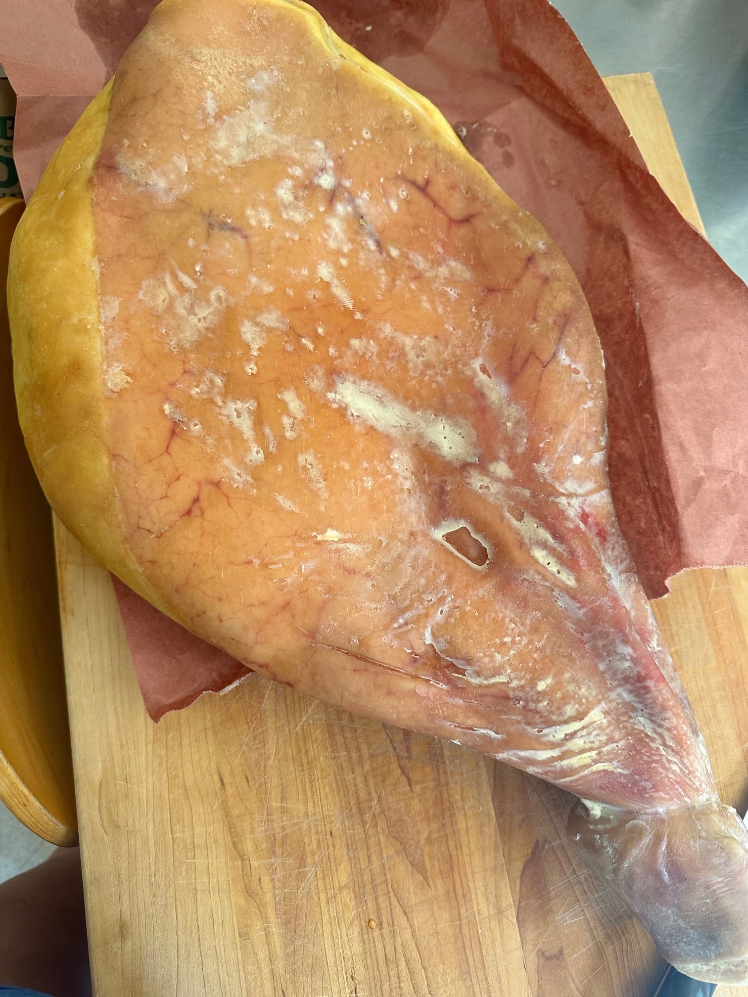 My Unusual House Guest