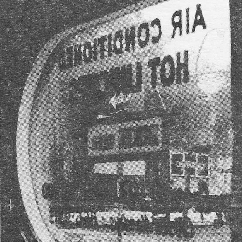 Vintage Tom: A Review of Compagno's