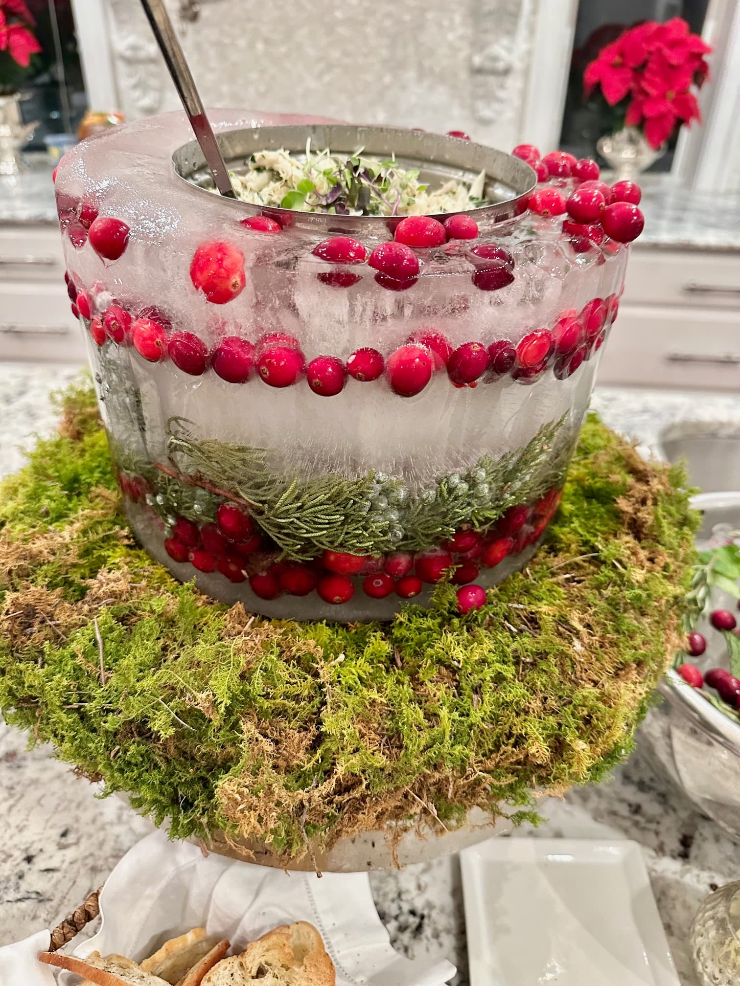 Palate For Your Palate