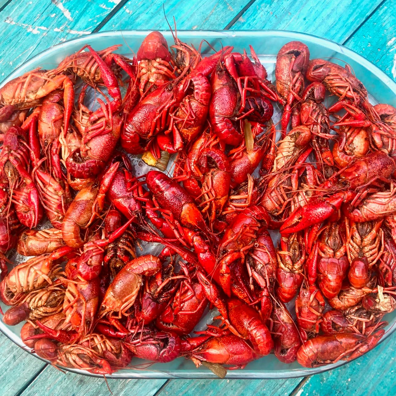 Marvelous Mudbugs